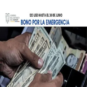 pago bono