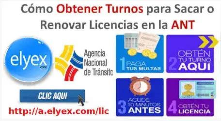 turno-licencia