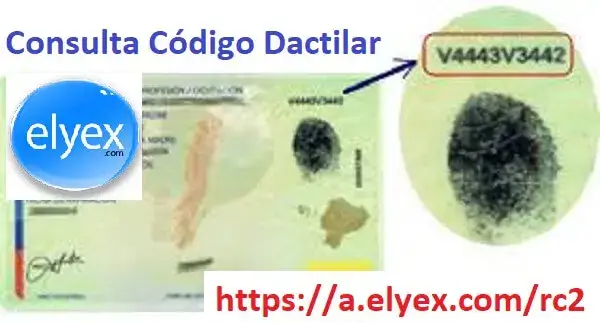 código dactilar