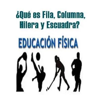educacion fisica