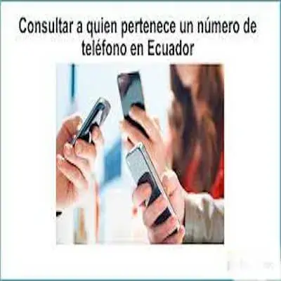consultar numero telefono