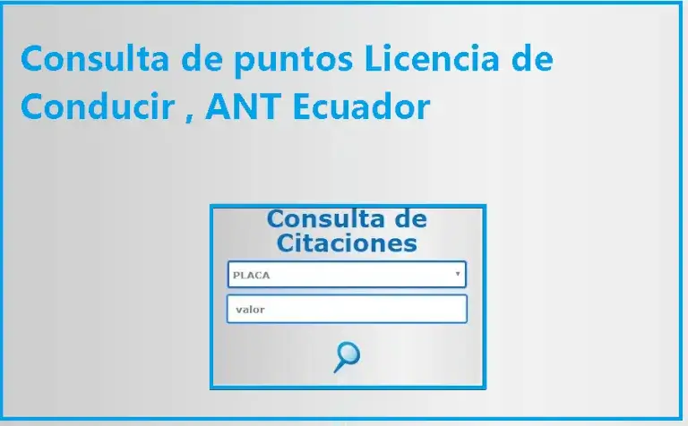 Puntos Licencia