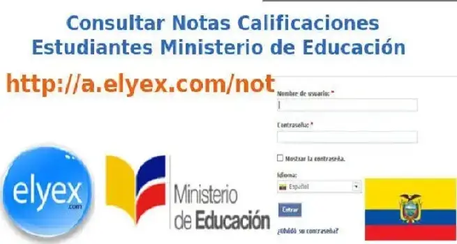 ministerio educación consulta notas calificaciones elyex estudiantes