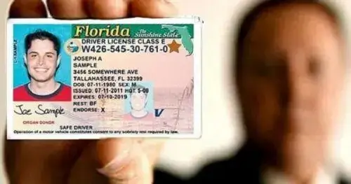 Licencia de conducir Florida