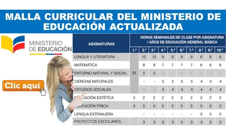 malla curricular