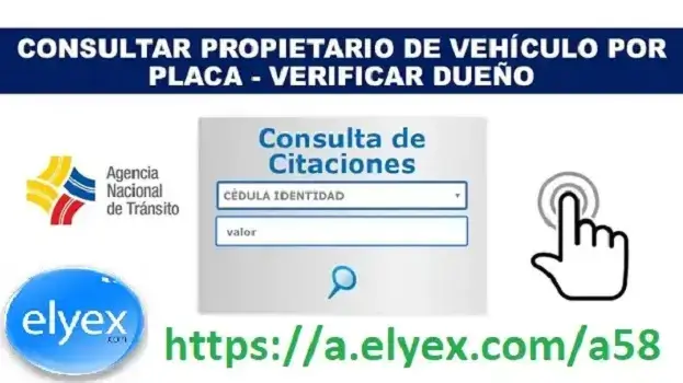 consultar dueno vehiculo placa