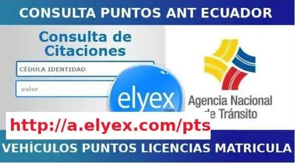 puntos licencia