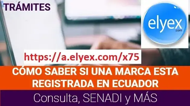 consultar marcas registradas ecuador