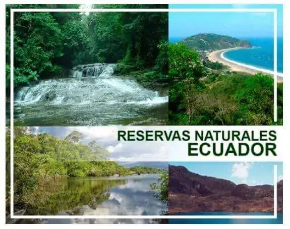 reservas naturales ecológicas ecuador