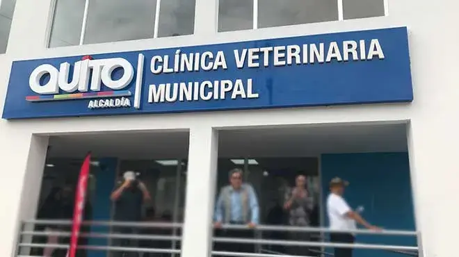 clínica veterinaria municipal 24h