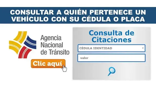 consulta quien pertenece vehiculo cedula placa