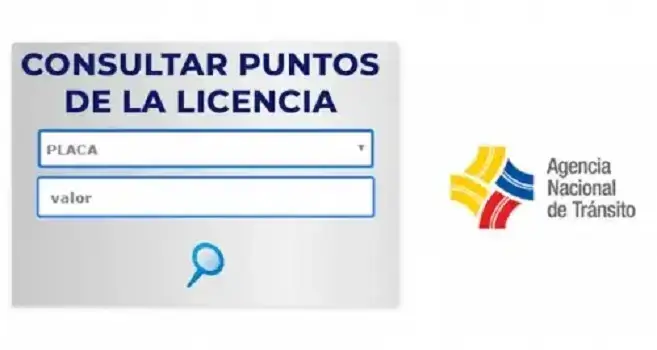 consultar puntos licencia conducir