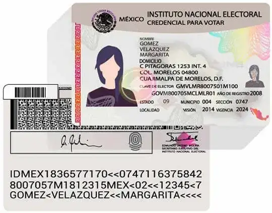 instituto nacional electoral mexico