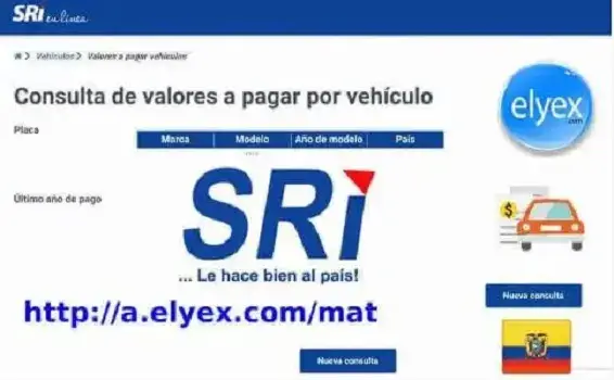 consulta matrícula sri vehicular