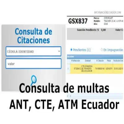 consulta multas ant cte atm