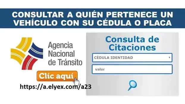 consultar pertenece vehiculo placa