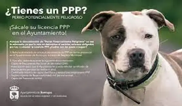 licencia perro potencialmente peligroso