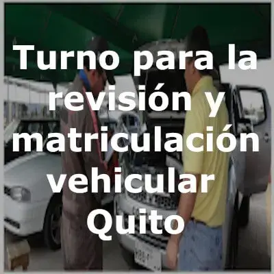 turno revision matriculacion vehicular
