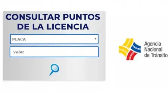 puntos licencia consultar multas