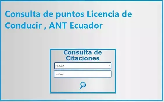 Consulta de puntos Licencia de Conducir , ANT Ecuador
