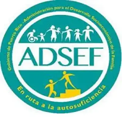 formularios adsef censo estimado