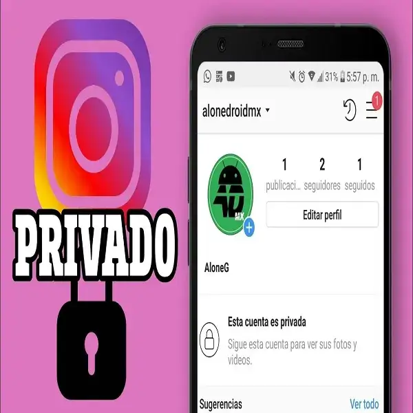 instagram privado guia facil
