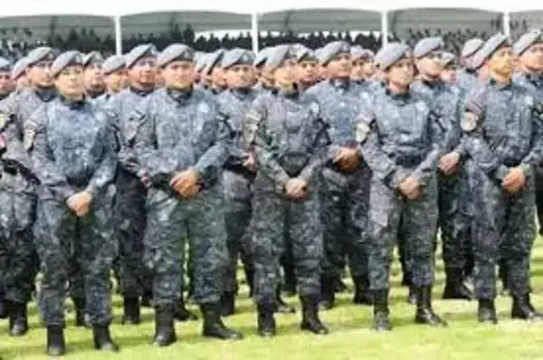 requisitos-gendarmeria-mexico
