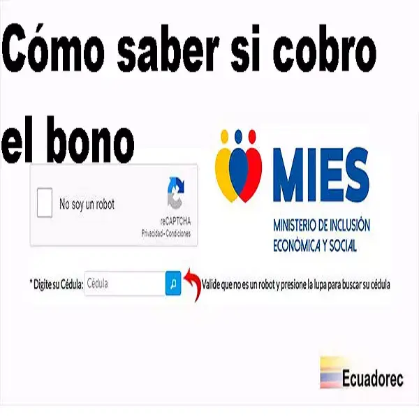 saber si cobro bono