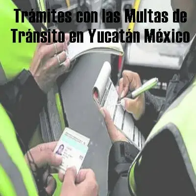 tramites multas transito yucatan