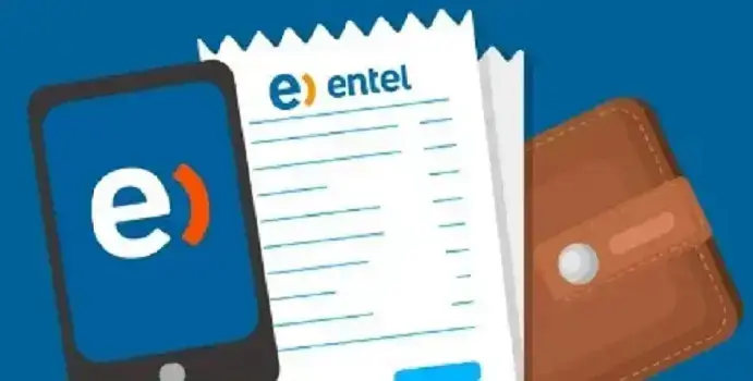 ver boleta pagar entel