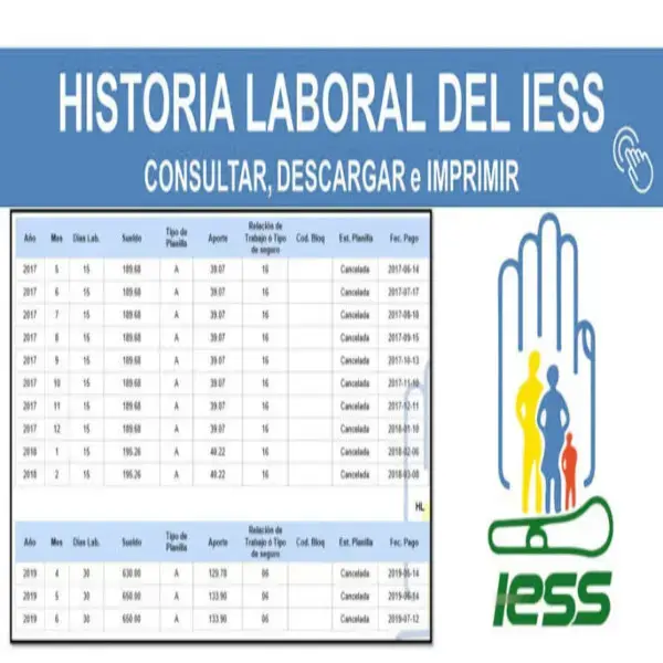 Consultar historial laboral IESS