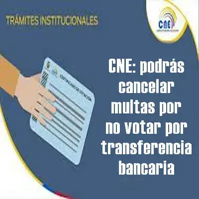 CNE: podrás cancelar multas por no votar