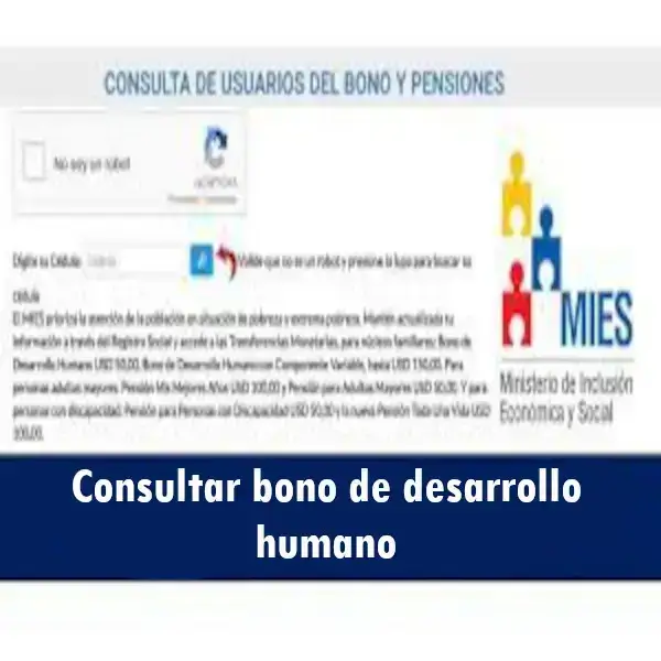 Consultar bono de desarrollo humano