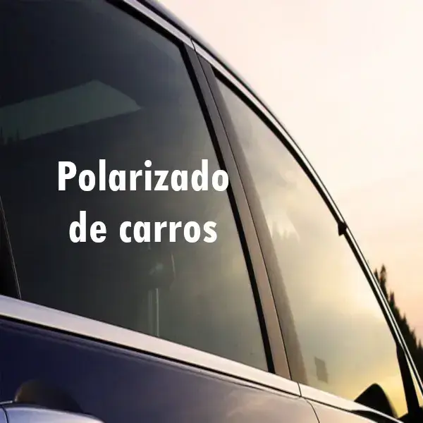 polarizado carros