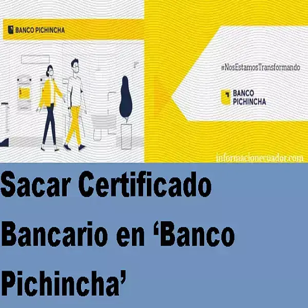 Sacar Certificado Bancario en ‘Banco Pichincha’