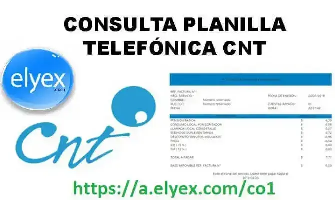 consulta-online-cnt-planillas-valor-pagar-1