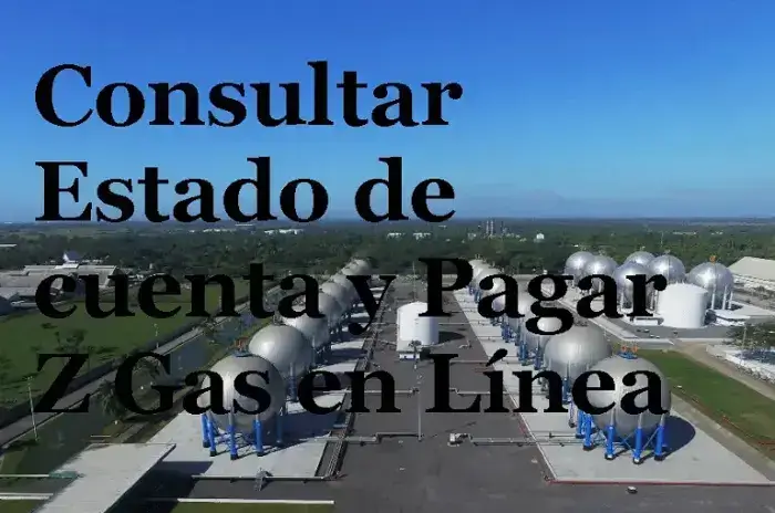 Consultar Estado de cuenta y Pagar Z Gas n Línea