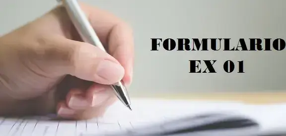 formularioex