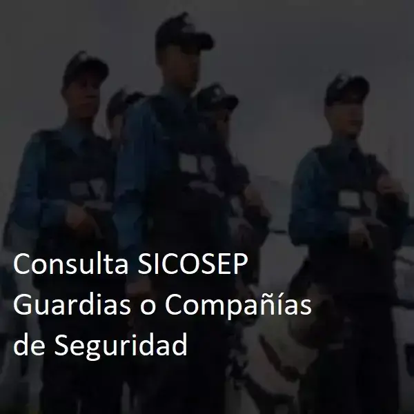 Consulta-SICOSEP-Guardias-o-Companias-de-Seguridad-1-1