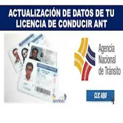 Actualización de Datos de tu Licencia de Conducir ANT