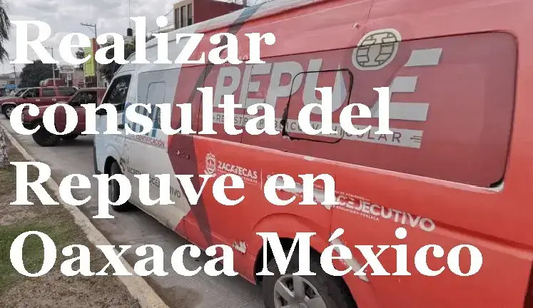 Realizar consulta del Repuve en Oaxaca México