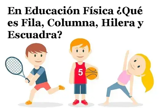 En Educación Física ¿Qué es Fila, Columna, Hilera y Escuadra?