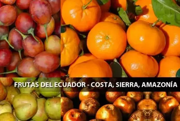 27 Frutas de la Costa, Sierra y Oriente del Ecuador