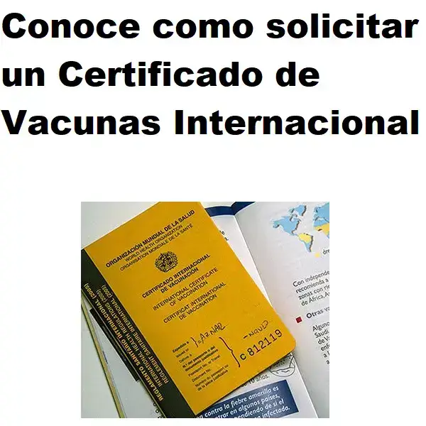 Solicitar-un-Certificado-de-Vacunas-Internacional