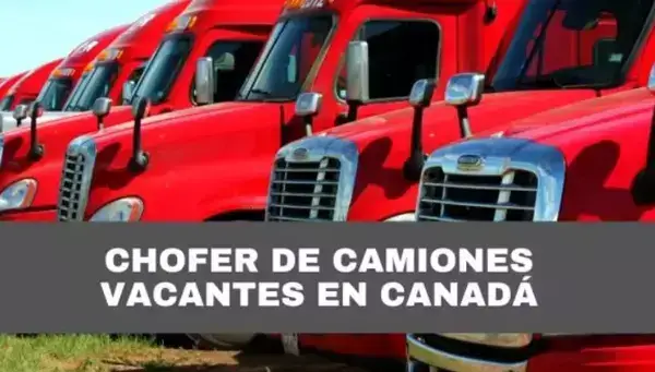 Trabajo-de-camionero-en-Canada-para-Latinoamericanos
