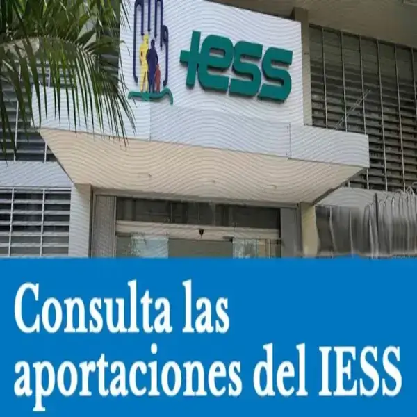 Consultar Aportaciones al IESS acumuladas