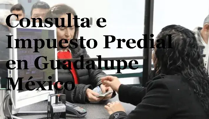 Consulta e Impuesto Predial en Guadalupe México