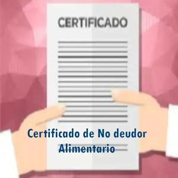 Certificado de No deudor Alimentario