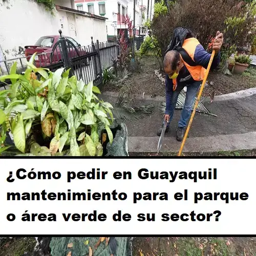 ¿Cómo pedir en Guayaquil mantenimiento para el parque o área verde de su sector?