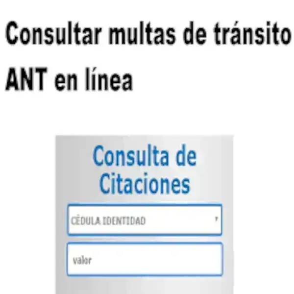 Consulta de multas tránsito ANT Ecuador